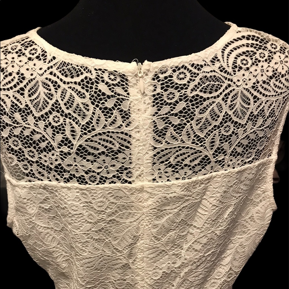 Sylvestidoso a-line pleated sleeveless lace dress - Picture 3 of 3